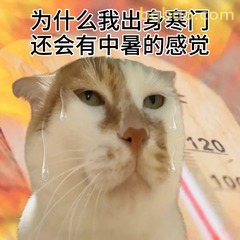 表情包：又到了电动车烫腚的季节 #02