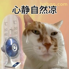 表情包：又到了电动车烫腚的季节 #04