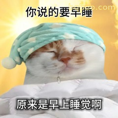 你说的要早睡原来是早上才睡