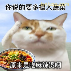 猫猫吐槽麻辣烫也是蔬菜