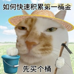 猫戴草帽喊话先买个桶