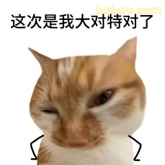 猫咪歪嘴得意这次大对特对了