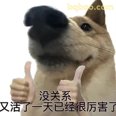 修狗表情包合集 #03