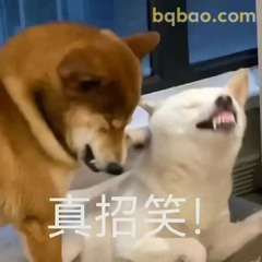 修狗表情包合集 #04