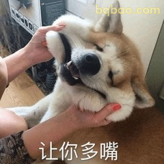修狗表情包合集 #07
