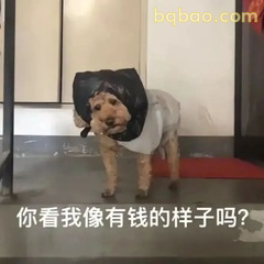 修狗表情包合集 #08