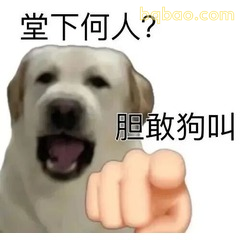 修狗表情包合集 #10
