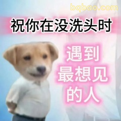 修狗表情包合集 #12