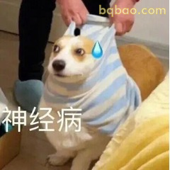 修狗表情包合集 #13
