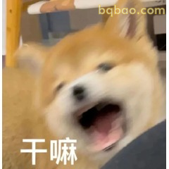 修狗表情包合集 #14