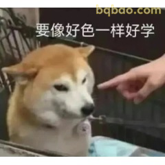 修狗表情包合集 #16