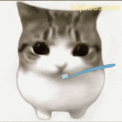 OMG妙脆角小猫表情包 #02