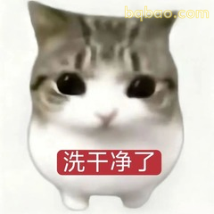 OMG妙脆角小猫表情包 #03