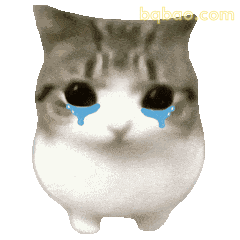OMG妙脆角小猫表情包 #07