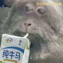 马喽表情包 #05