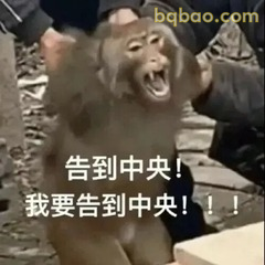 马喽嘶吼告到中央