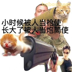 当代打工人完整人生图鉴，每张都是我的日常。 #01
