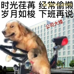 当代打工人完整人生图鉴，每张都是我的日常。 #05