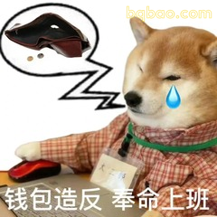 柴犬哭穷：钱包造反 奉命上班