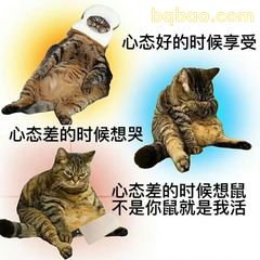 心态好时享受vs心态差想鼠