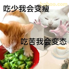 吃少变瘦吃苦变态 猫咪自嘲表情