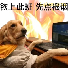 欲上此班先点根烟，金毛打工狗崩溃了
