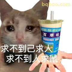 猫咪流泪举杯求不到人求鼠