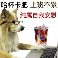 狗戴眼镜喝奶茶自我安慰打工人