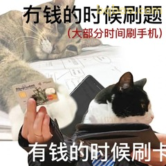 有钱刷题没钱刷卡 猫咪对比图