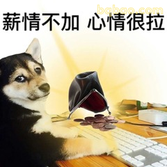 柴犬看电脑叹气：薪资不加心情很拉