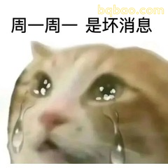 周一坏消息流泪猫