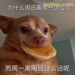 周一恐惧煎饼狗
