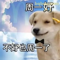 周一好不好也周一
