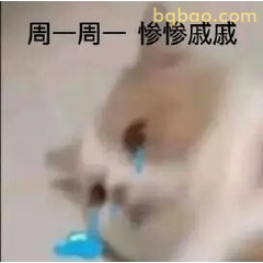 周一惨惨戚戚猫