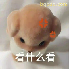 森贝儿小狗日常表情 #02