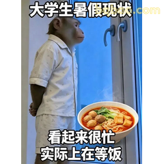 假装忙碌等饭