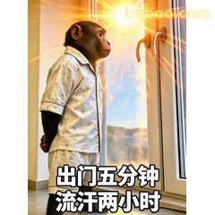 出门五分钟暴汗