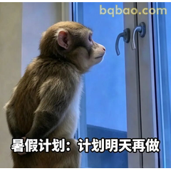 暑假计划明天做