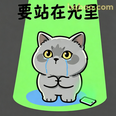 要站在光里的流泪小猫