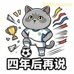 四年后再说