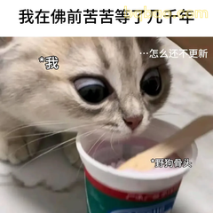 佛前苦等碎碎念的小猫咪