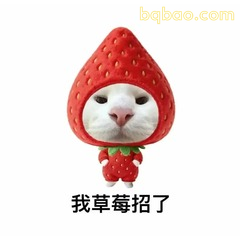 我草莓招了