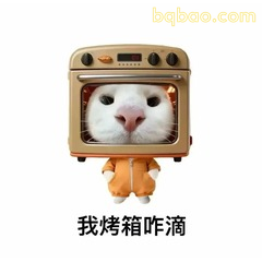 我烤箱咋滴