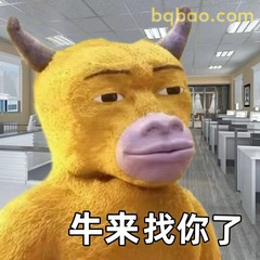 牛来找你