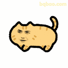 小猫路过