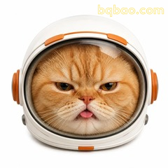 宇航员橘猫