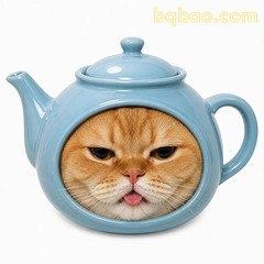 茶壶头橘猫