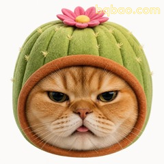 仙人掌橘猫