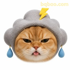 乌云脸橘猫