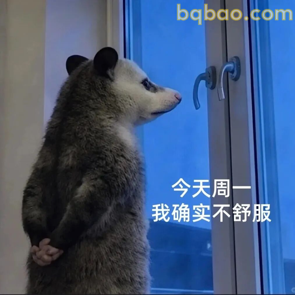今天星期不过了
